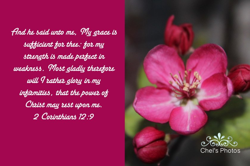 Blooming Flowers.jpg